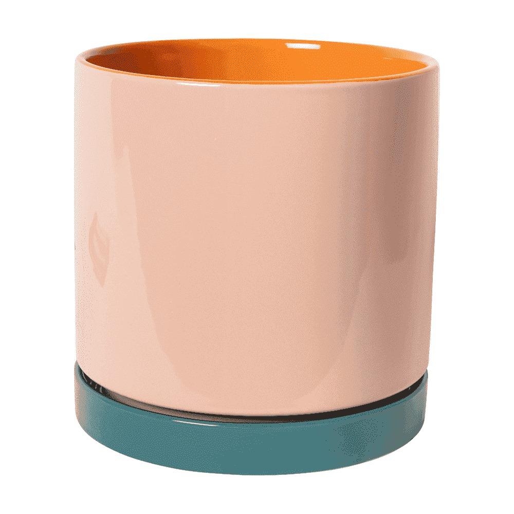 Best Vases for Flowers: Shapes That Work