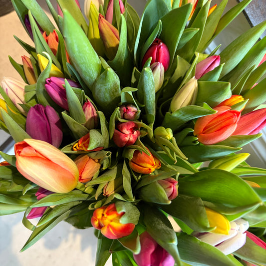 Fresh Flowers for Home: Style Every Room